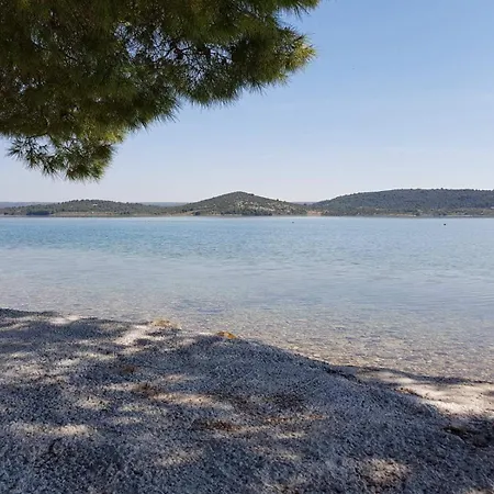 Oliva - Maslina * 빌리제