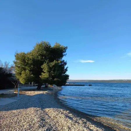 Oliva - Maslina Appartamento Bilice