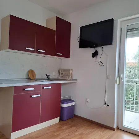 Oliva - Maslina Bilice