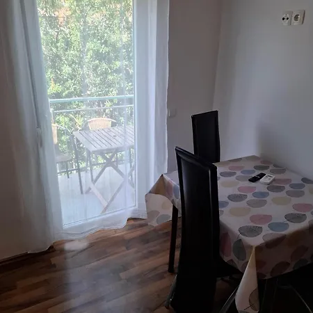 Oliva - Maslina Bilice