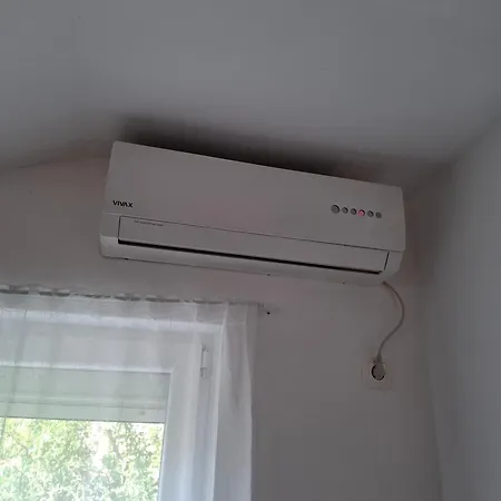 Oliva - Maslina Bilice