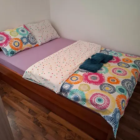 Oliva - Maslina Bilice