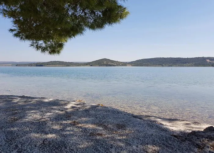 Oliva - Maslina * Bilice