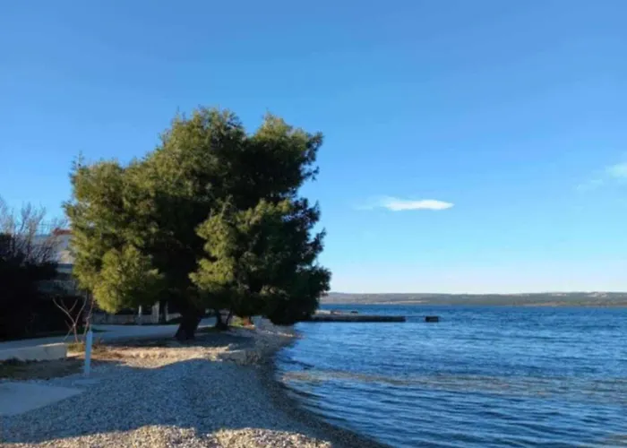 Oliva - Maslina Apartment Bilice